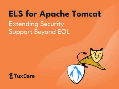 1000x750-Blog-ApacheTomcatELS-768x576