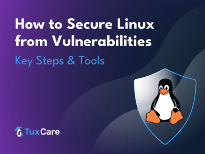 1000x750-Blog-SecureLinuxVuln