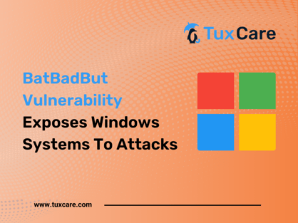 BatBadBut-Vulnerability