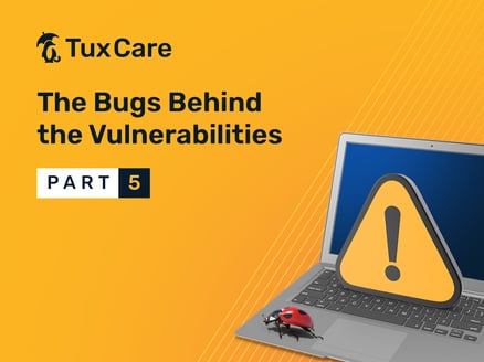 TUXCARE_The-Bugs-Behind-the-Vulnerabilities-P5_blog_V1-copy-1