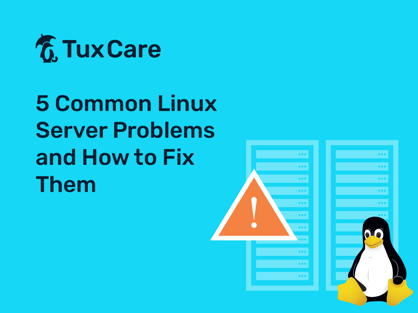 TuxCare_5-Common-Linux-Server-Problems_V1_1000x750