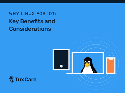 TuxCare_Linux-IoT_Blog (1)