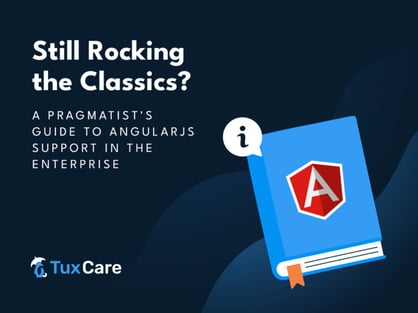 TuxCare_angularJS-guide_Blog-768x576
