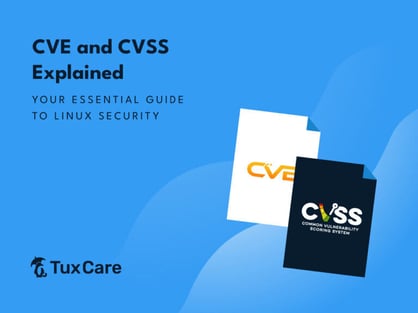 TuxCare_cve-cvss_Blog-768x576