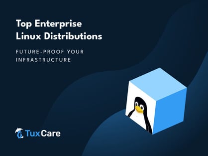 TuxCare_enterprise-linus-distro_Blog-768x576