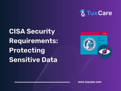 cisa-proposed-security-requirements-768x576