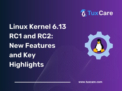 linux-kernel-6.13-release-candidate-768x576