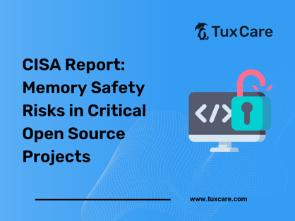 memory-safety-in-critical-open-source-projects